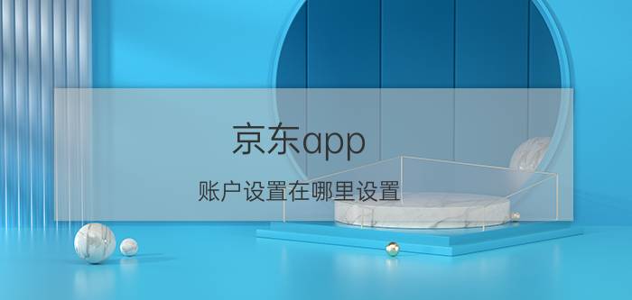 京东app 账户设置在哪里设置 京东me密码怎么设置？